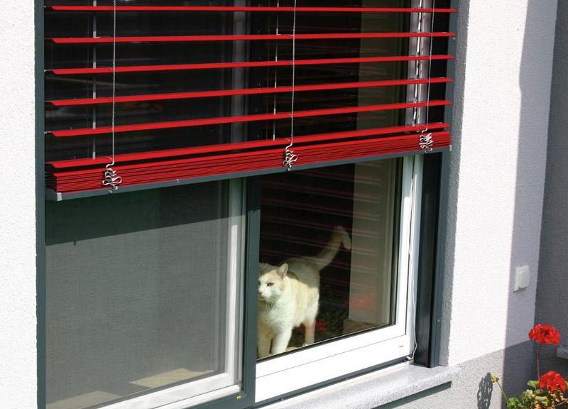 external blinds external blinds