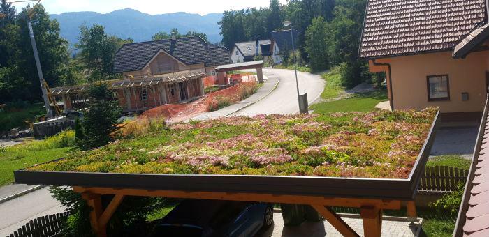 extensive green roofs extensive green roofs