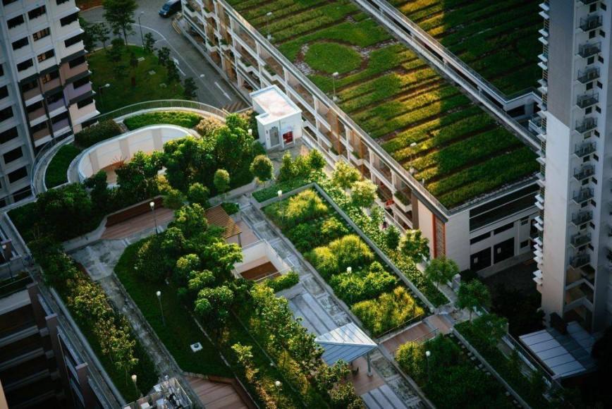 green roof installation green roof installation