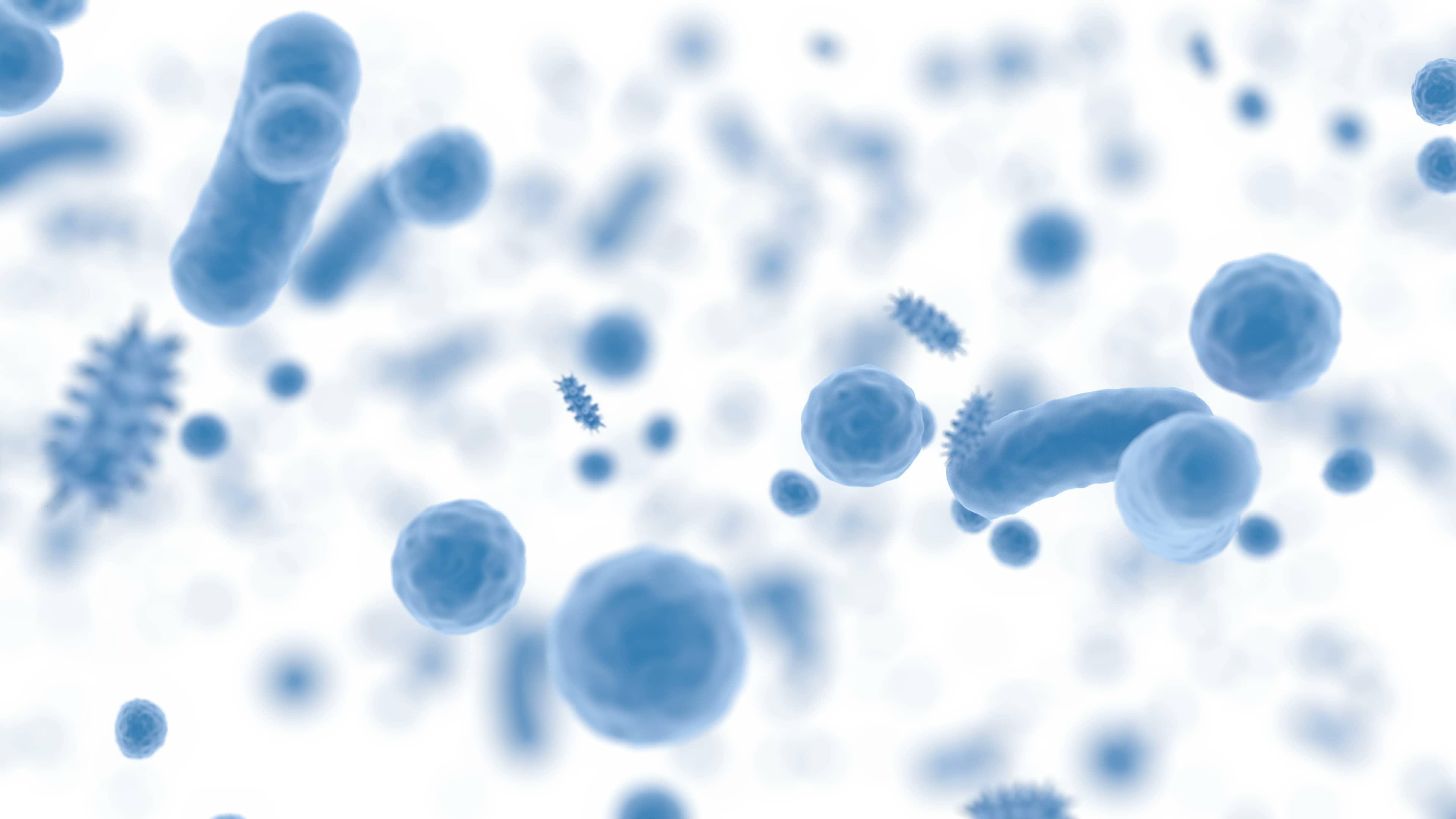 sanitization procedures sanitization procedures
