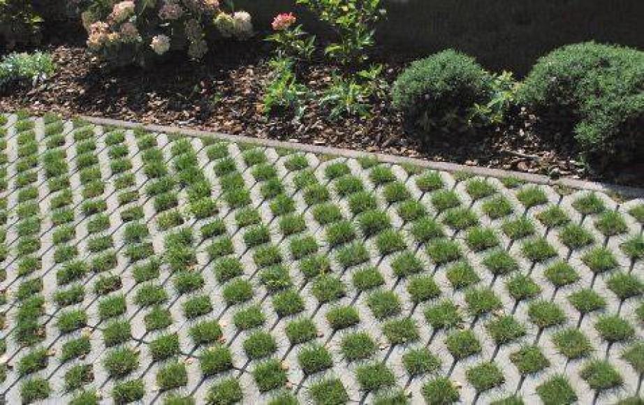 Driveway Paving with Grass Pavers