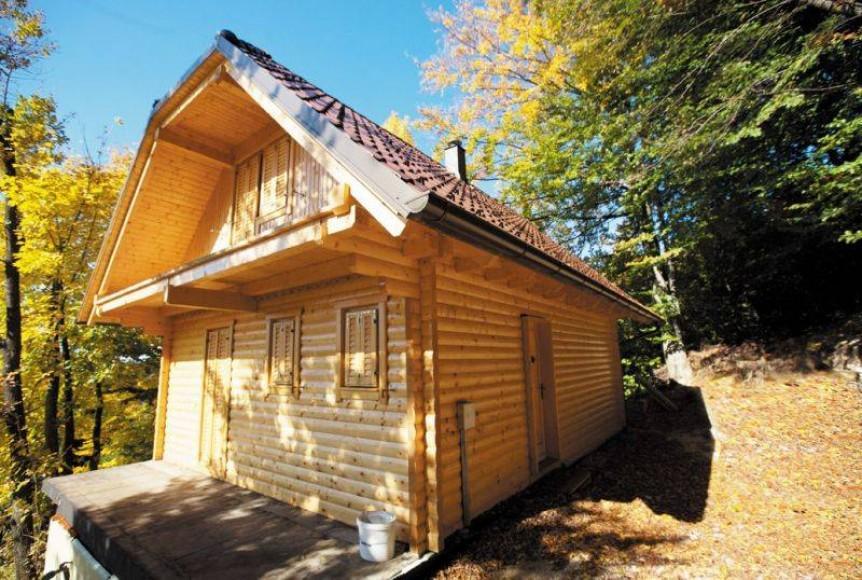 Wooden House