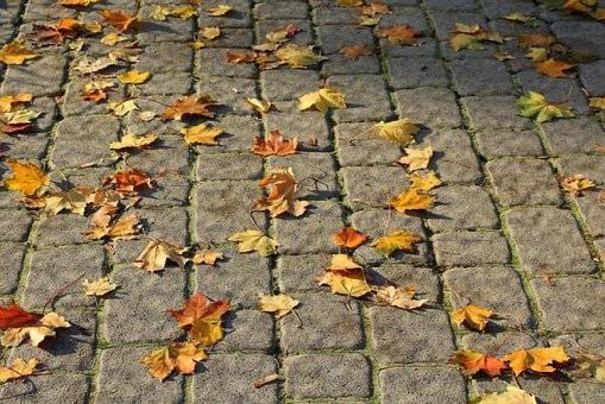 Pavement