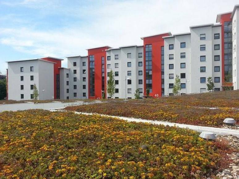 Green Roofs