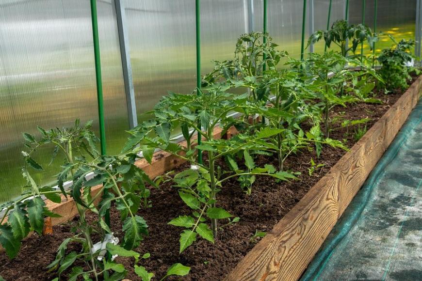 Greenhouses