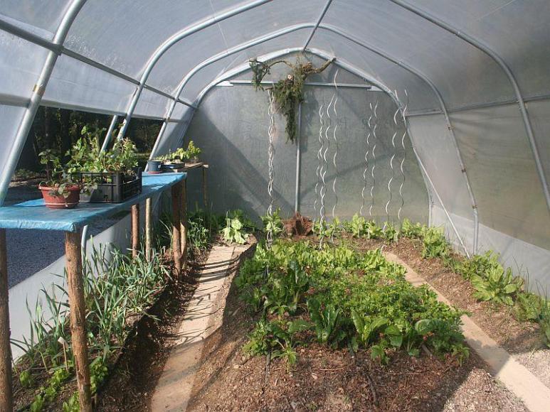 Greenhouses