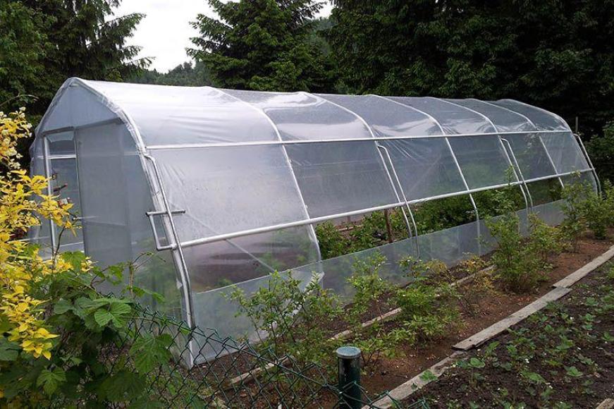 Greenhouse