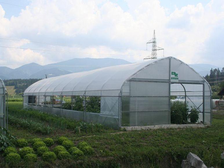 Professional Greenhouse
