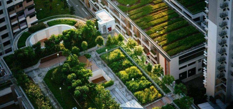 Green Roof